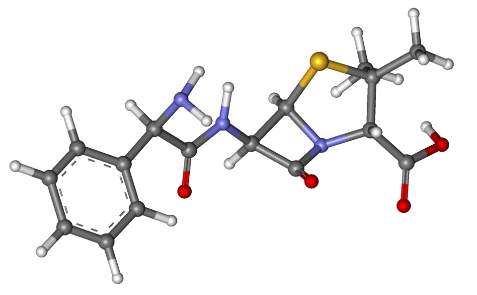 AMPICILLIN 500 MG (7-25)