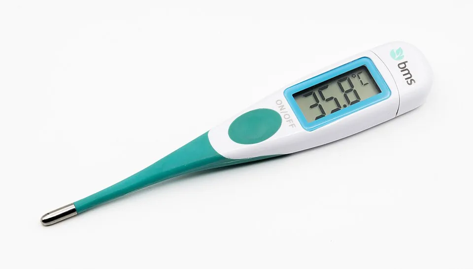 Termometer Digital
